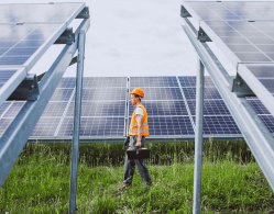 man-worker-firld-by-solar-panels